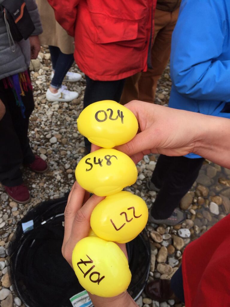 Ilkley Carnival 2019 Duck Race Winners 2 1